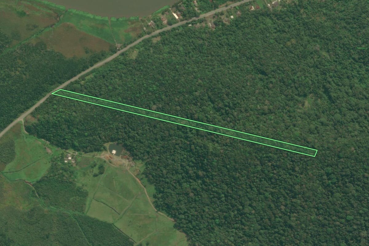 Imagem de satélite do imóvel rural em Iguape (SP), com o contorno declarado no CAR desenhado por cima.