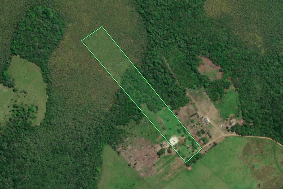 Imagem de satélite do imóvel rural em Iguape (SP), com o contorno declarado no CAR desenhado por cima.