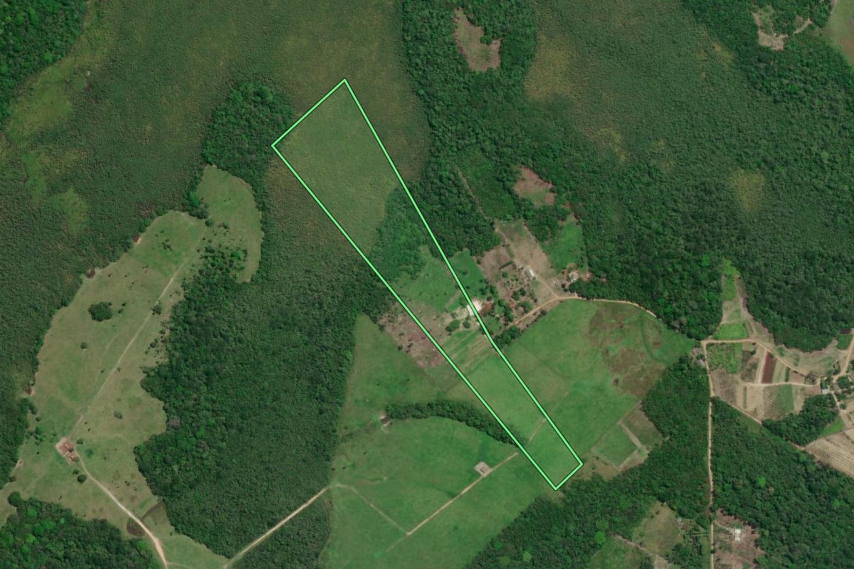 Imagem de satélite do imóvel rural em Iguape (SP), com o contorno declarado no CAR desenhado por cima.