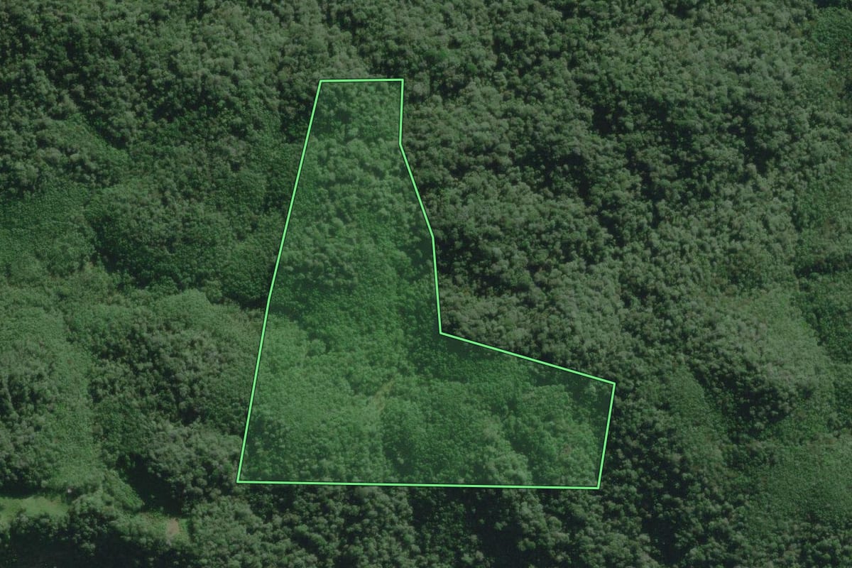 Imagem de satélite do imóvel rural em Iguape (SP), com o contorno declarado no CAR desenhado por cima.