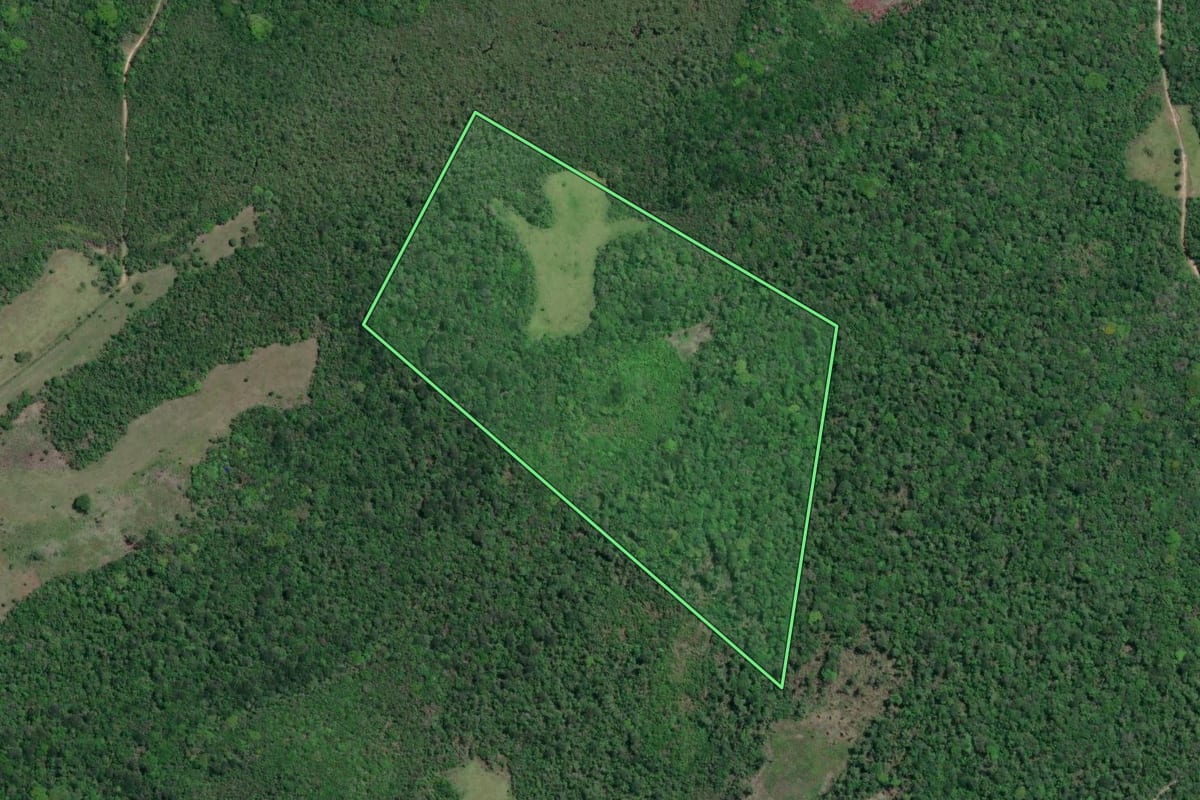Imagem de satélite do imóvel rural em Iguape (SP), com o contorno declarado no CAR desenhado por cima.