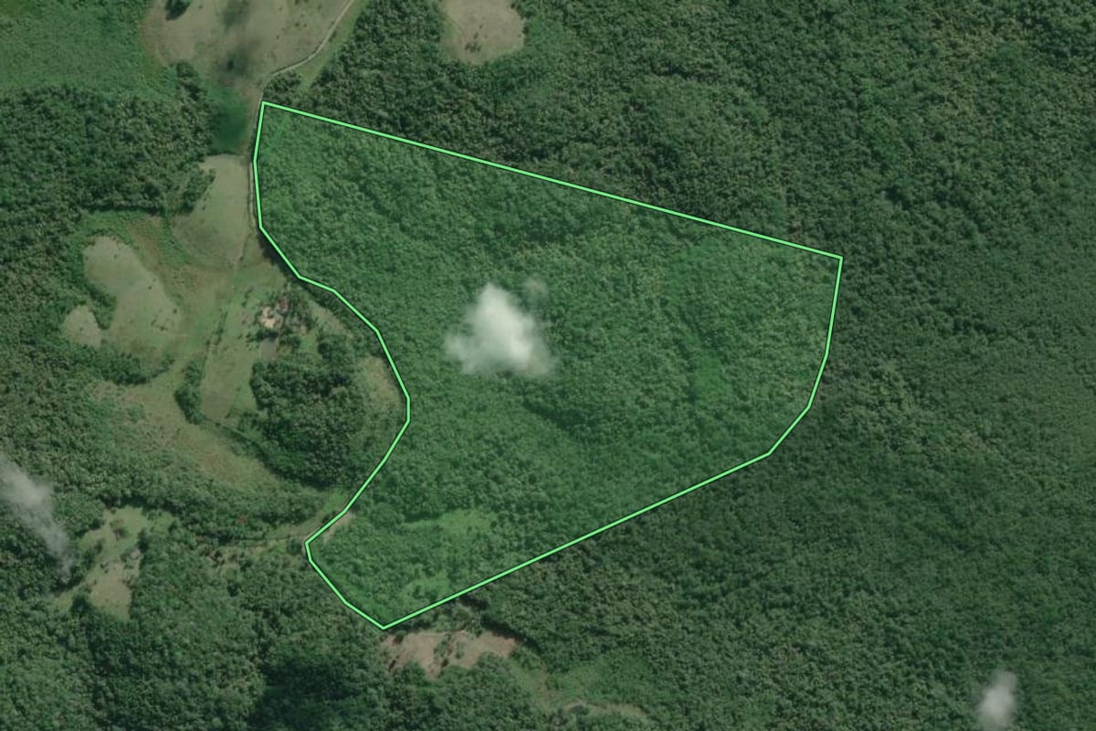 Imagem de satélite do imóvel rural em Iguape (SP), com o contorno declarado no CAR desenhado por cima.