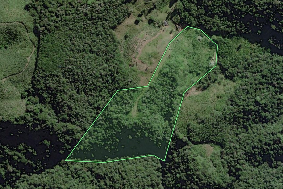 Imagem de satélite do imóvel rural em Iguape (SP), com o contorno declarado no CAR desenhado por cima.
