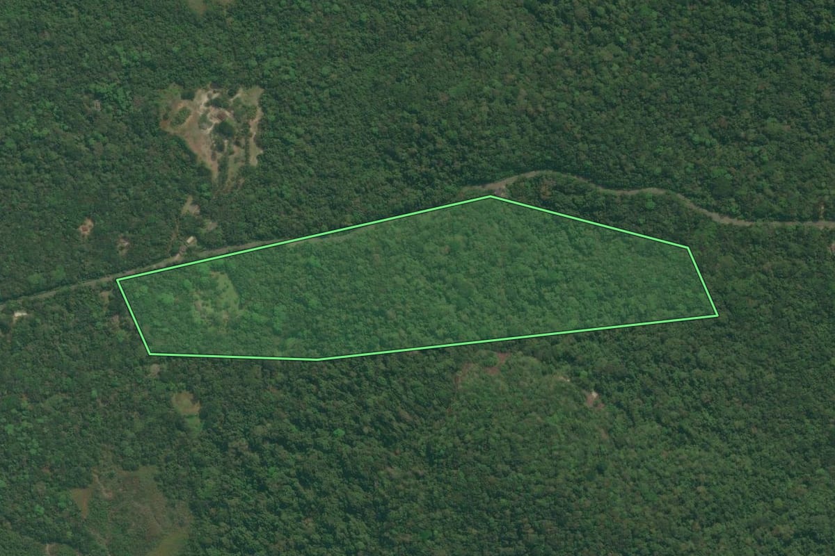 Imagem de satélite do imóvel rural em Iguape (SP), com o contorno declarado no CAR desenhado por cima.