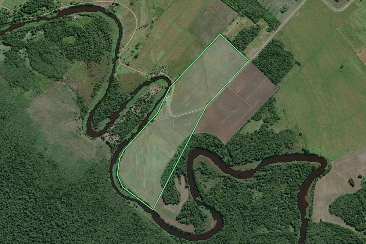 Imagem de satélite do imóvel rural em Iguape (SP), com o contorno declarado no CAR desenhado por cima.
