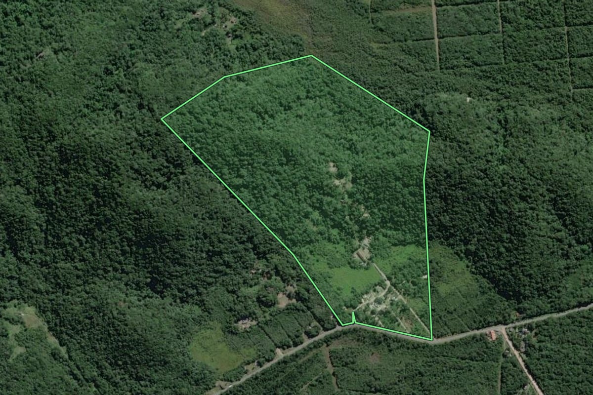 Imagem de satélite do imóvel rural em Iguape (SP), com o contorno declarado no CAR desenhado por cima.