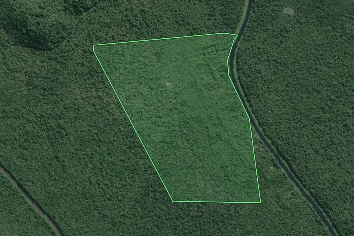 Imagem de satélite do imóvel rural em Iguape (SP), com o contorno declarado no CAR desenhado por cima.