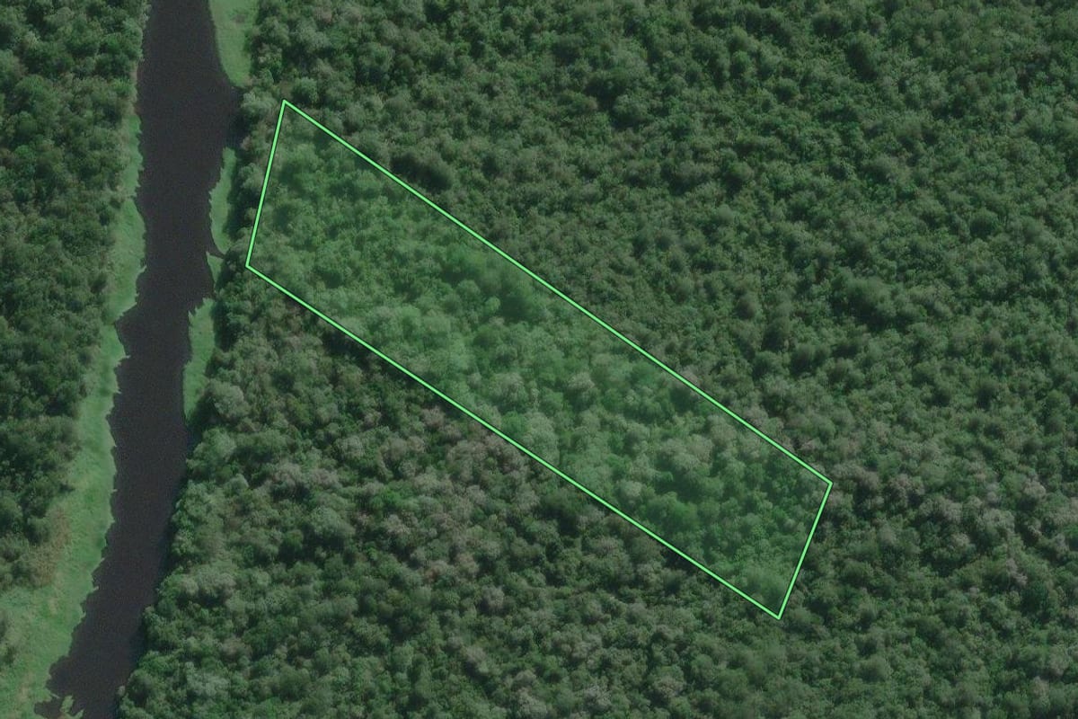 Imagem de satélite do imóvel rural em Iguape (SP), com o contorno declarado no CAR desenhado por cima.