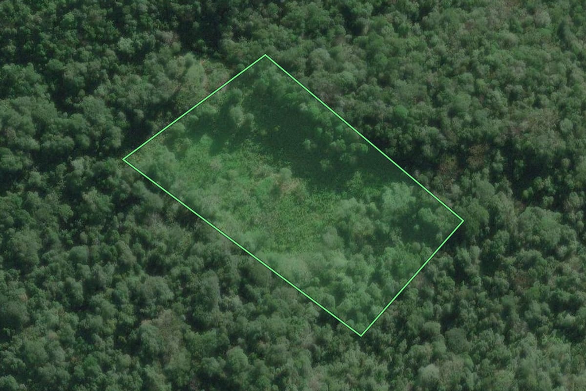 Imagem de satélite do imóvel rural em Iguape (SP), com o contorno declarado no CAR desenhado por cima.