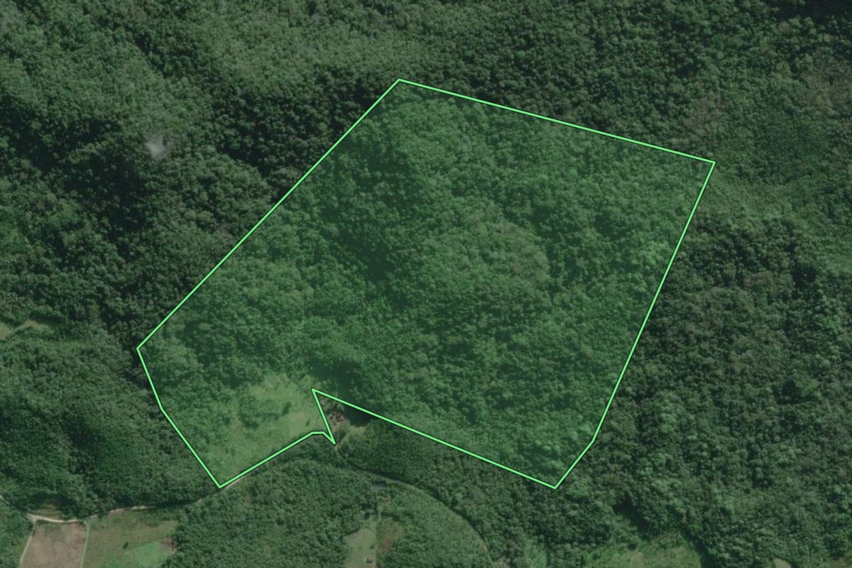 Imagem de satélite do imóvel rural em Iguape (SP), com o contorno declarado no CAR desenhado por cima.