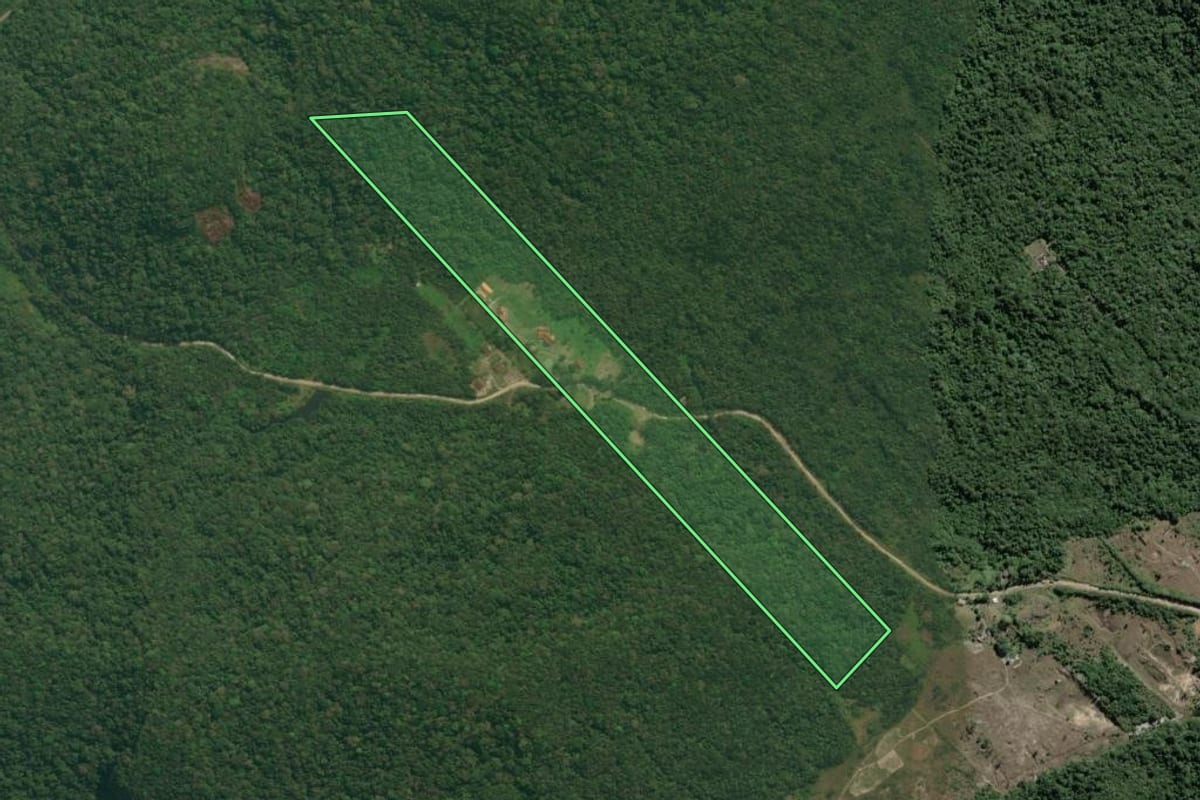 Imagem de satélite do imóvel rural em Iguape (SP), com o contorno declarado no CAR desenhado por cima.