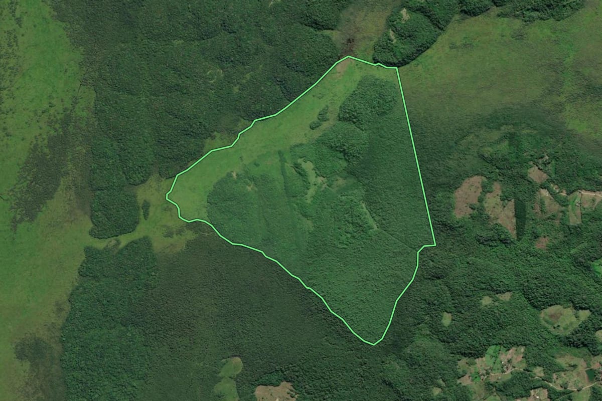 Imagem de satélite do imóvel rural em Iguape (SP), com o contorno declarado no CAR desenhado por cima.