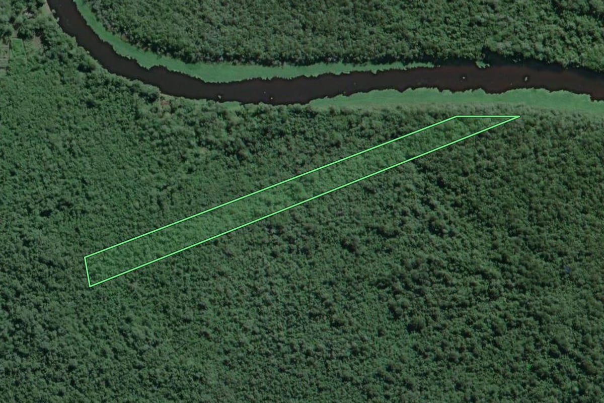 Imagem de satélite do imóvel rural em Iguape (SP), com o contorno declarado no CAR desenhado por cima.