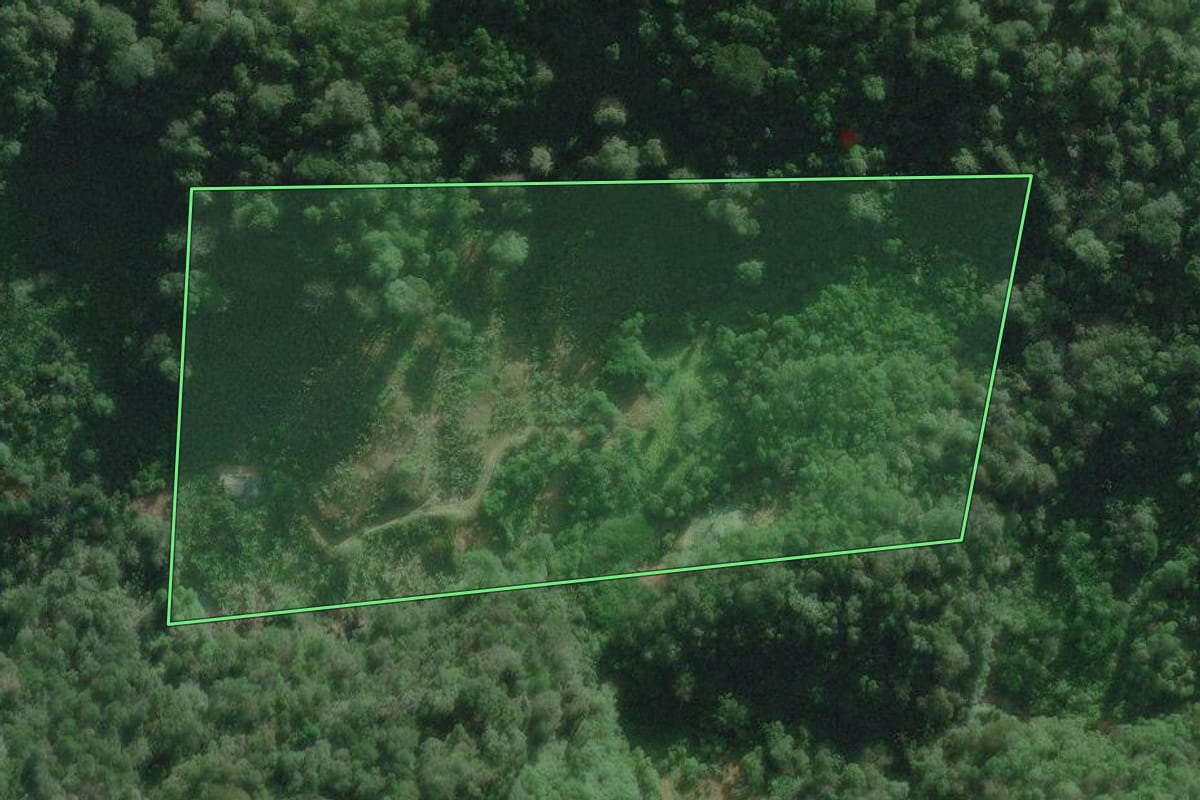 Imagem de satélite do imóvel rural em Iguape (SP), com o contorno declarado no CAR desenhado por cima.
