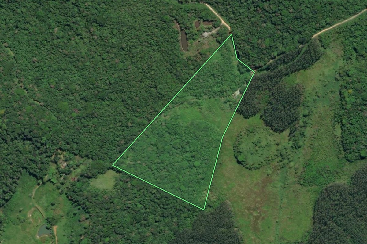 Imagem de satélite do imóvel rural em Iguape (SP), com o contorno declarado no CAR desenhado por cima.
