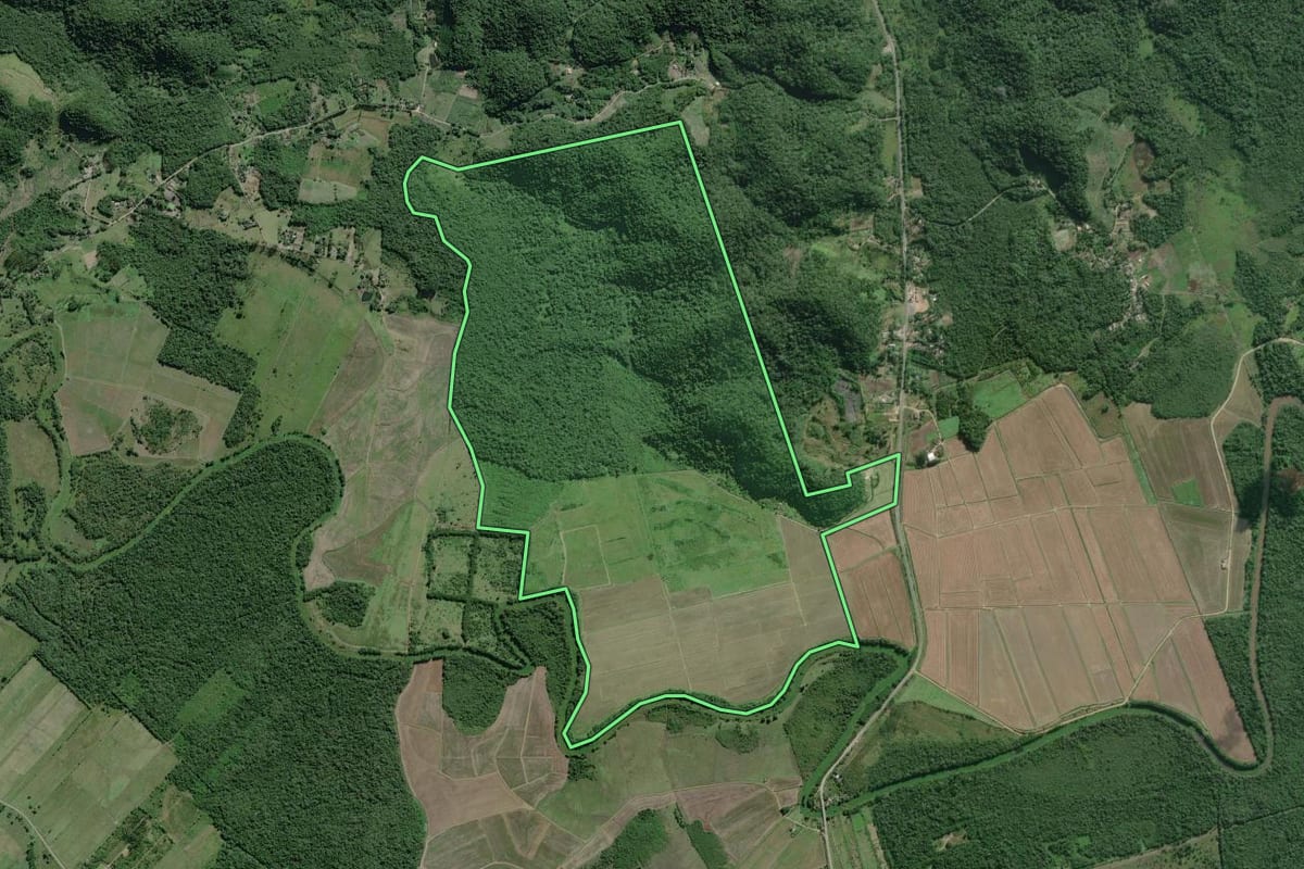 Imagem de satélite do imóvel rural em Iguape (SP), com o contorno declarado no CAR desenhado por cima.