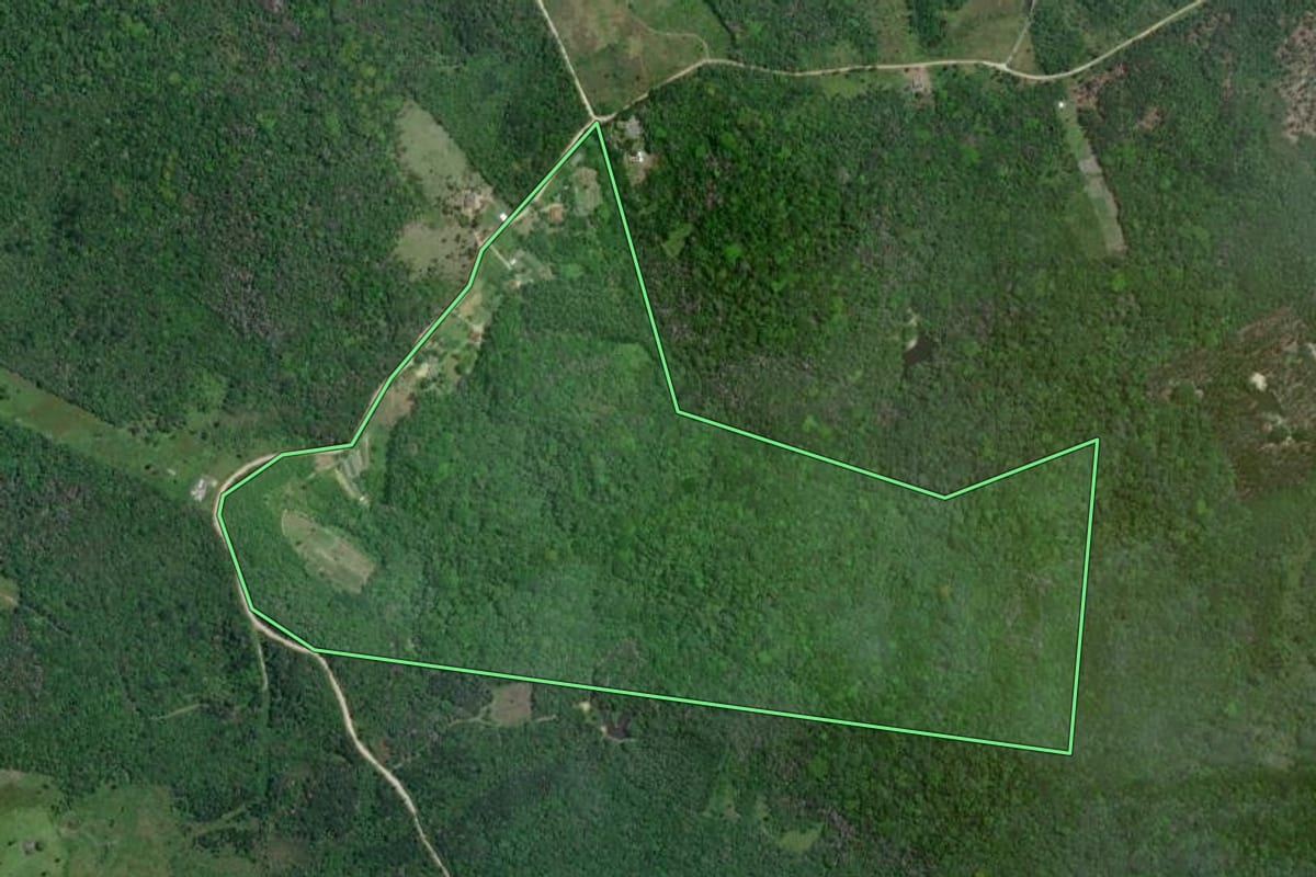 Imagem de satélite do imóvel rural em Iguape (SP), com o contorno declarado no CAR desenhado por cima.