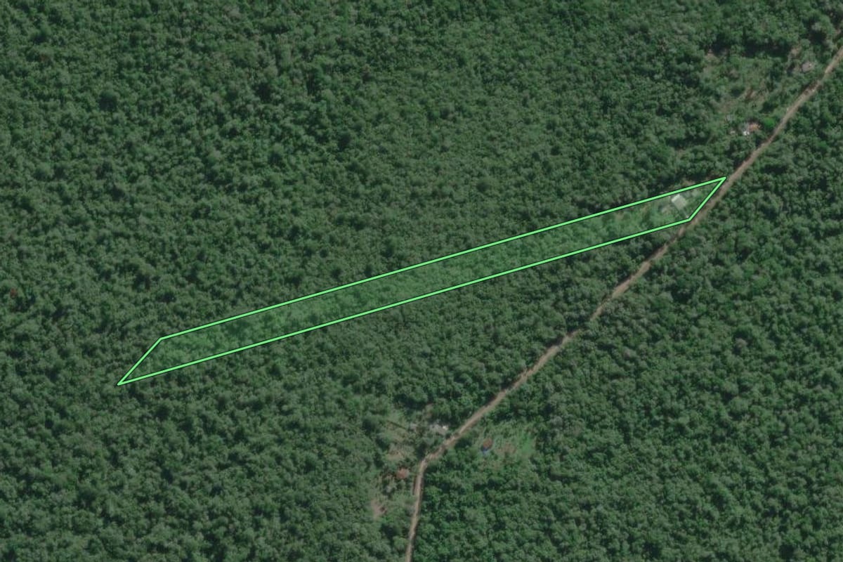 Imagem de satélite do imóvel rural em Iguape (SP), com o contorno declarado no CAR desenhado por cima.