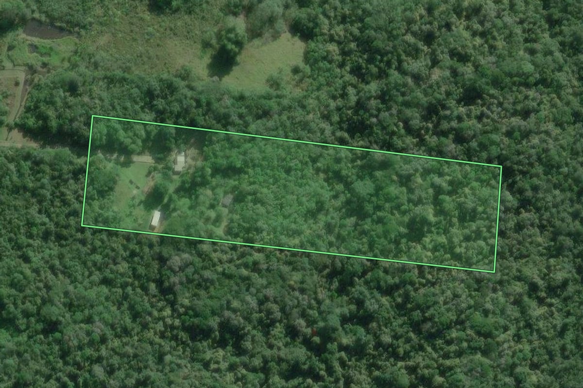 Imagem de satélite do imóvel rural em Iguape (SP), com o contorno declarado no CAR desenhado por cima.