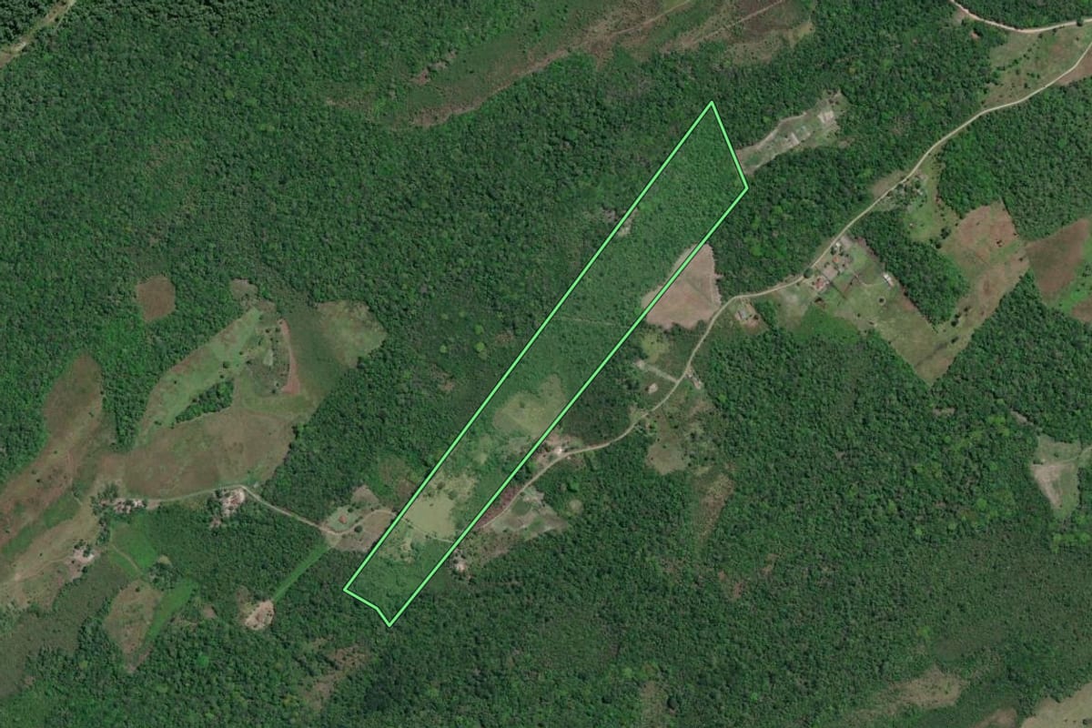Imagem de satélite do imóvel rural em Iguape (SP), com o contorno declarado no CAR desenhado por cima.