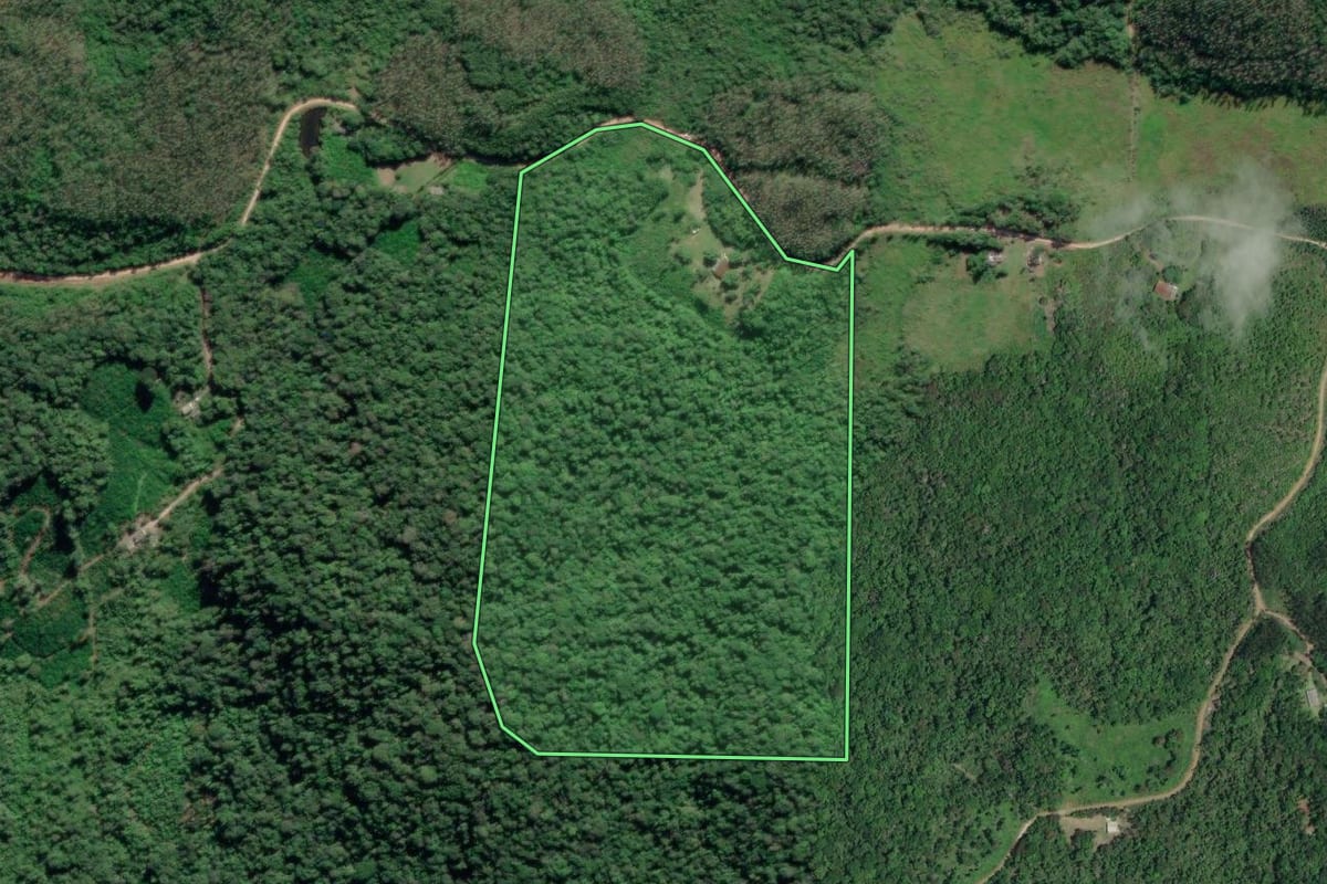 Imagem de satélite do imóvel rural em Iguape (SP), com o contorno declarado no CAR desenhado por cima.