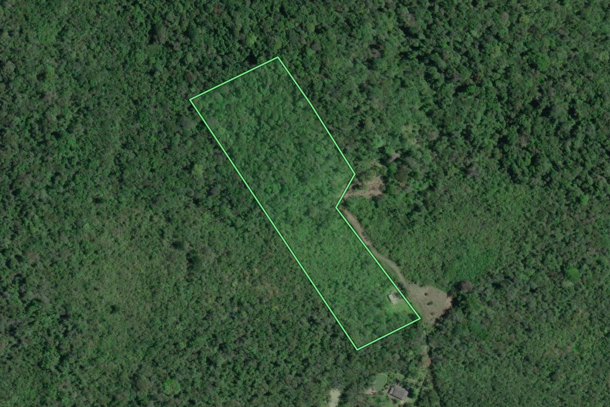 Imagem de satélite do imóvel rural em Iguape (SP), com o contorno declarado no CAR desenhado por cima.