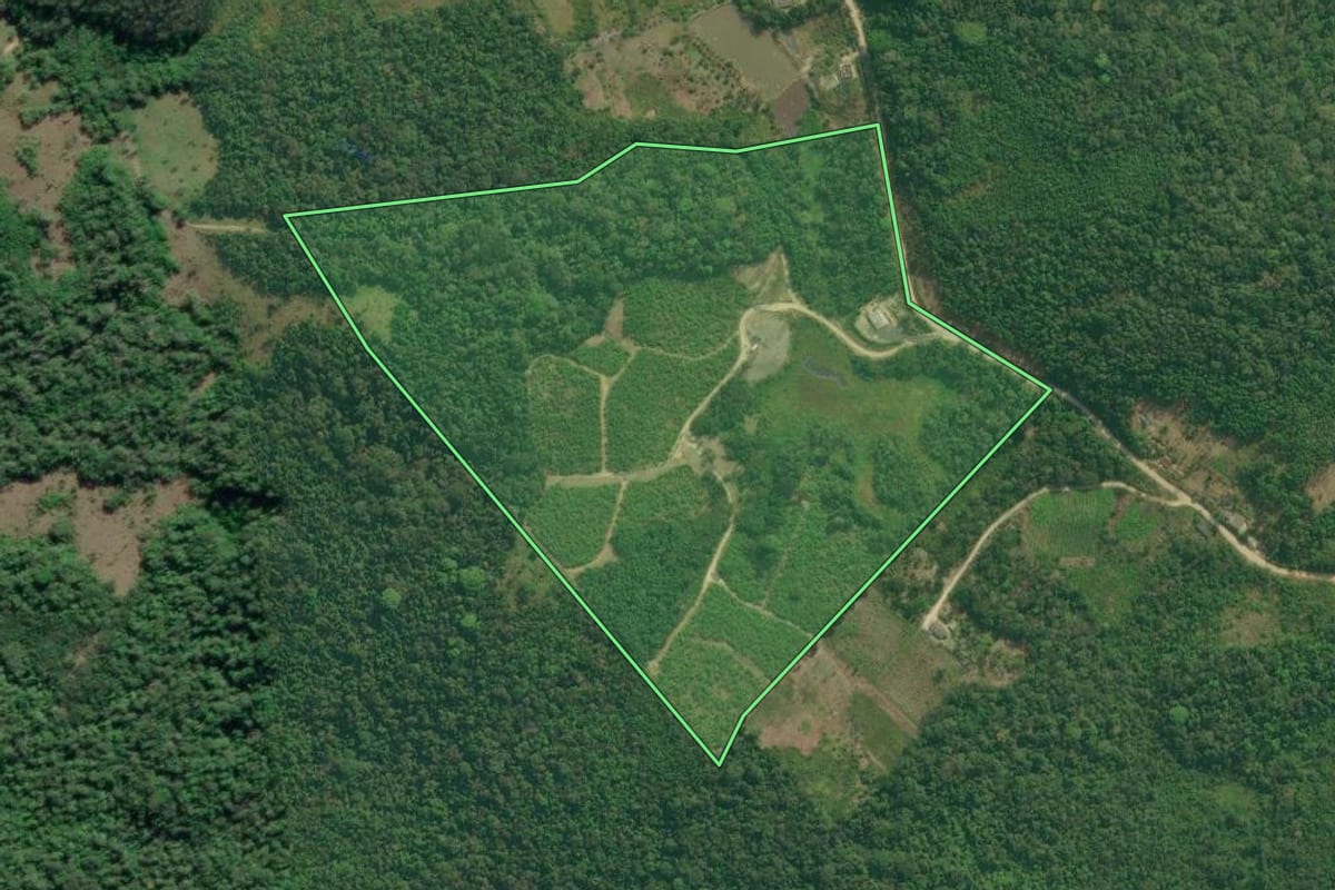 Imagem de satélite do imóvel rural em Iguape (SP), com o contorno declarado no CAR desenhado por cima.