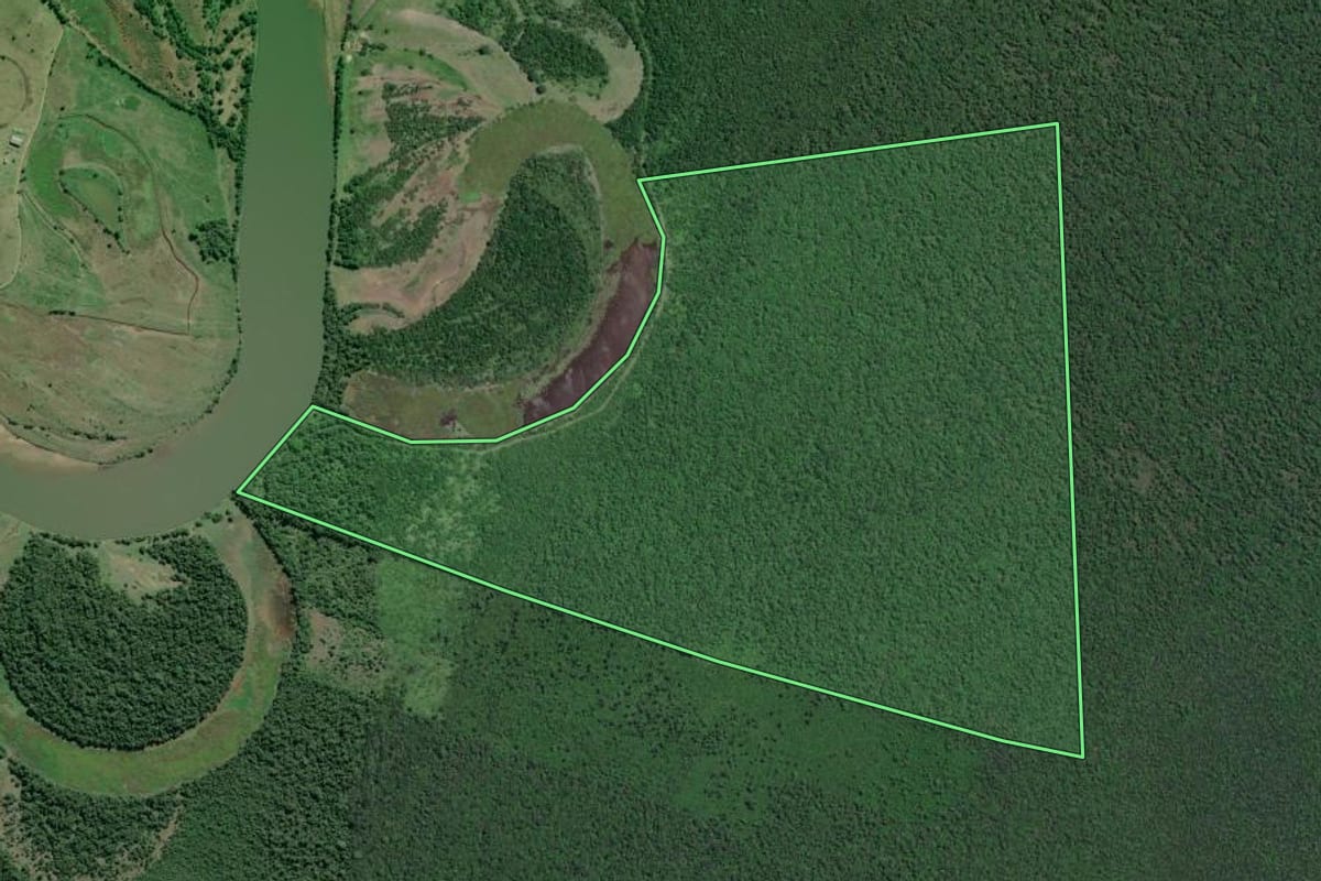 Imagem de satélite do imóvel rural em Iguape (SP), com o contorno declarado no CAR desenhado por cima.