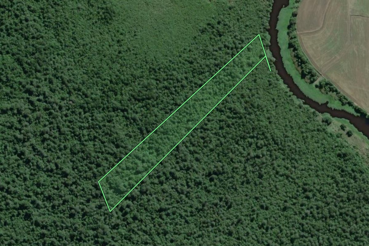 Imagem de satélite do imóvel rural em Iguape (SP), com o contorno declarado no CAR desenhado por cima.