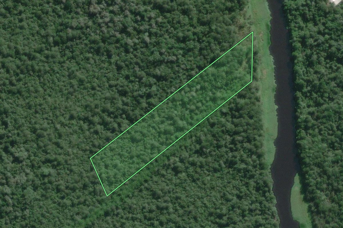 Imagem de satélite do imóvel rural em Iguape (SP), com o contorno declarado no CAR desenhado por cima.