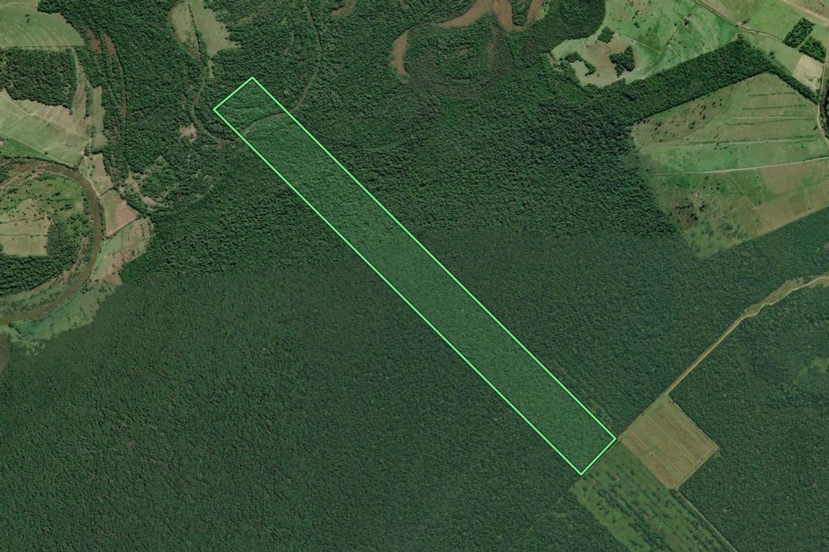 Imagem de satélite do imóvel rural em Iguape (SP), com o contorno declarado no CAR desenhado por cima.