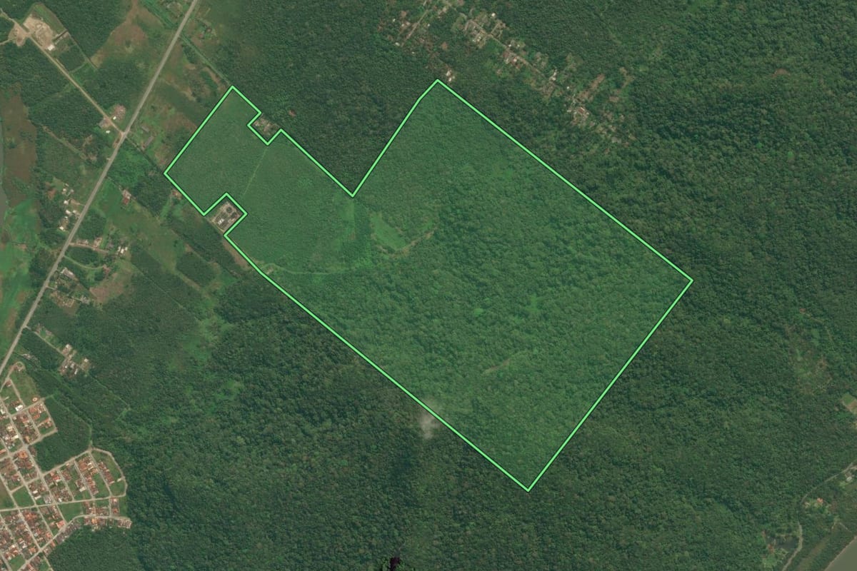 Imagem de satélite do imóvel rural em Iguape (SP), com o contorno declarado no CAR desenhado por cima.