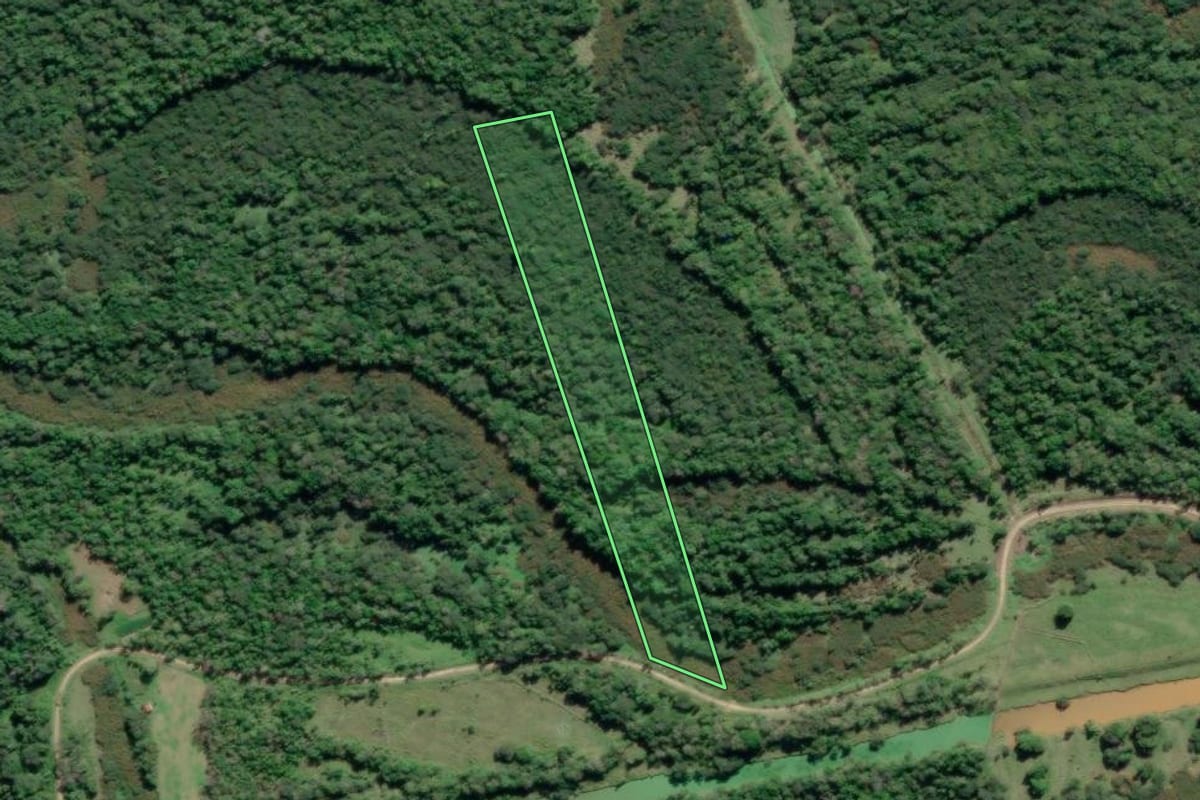 Imagem de satélite do imóvel rural em Iguape (SP), com o contorno declarado no CAR desenhado por cima.