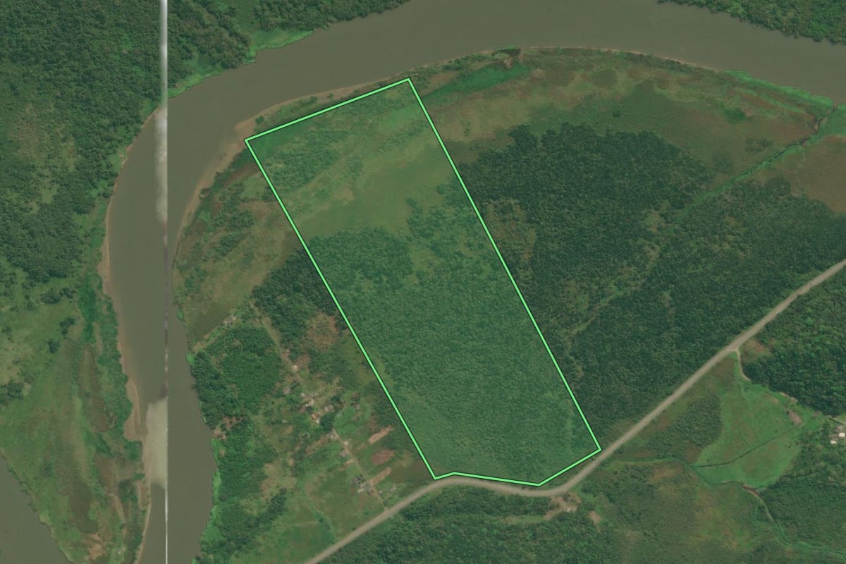 Imagem de satélite do imóvel rural em Iguape (SP), com o contorno declarado no CAR desenhado por cima.