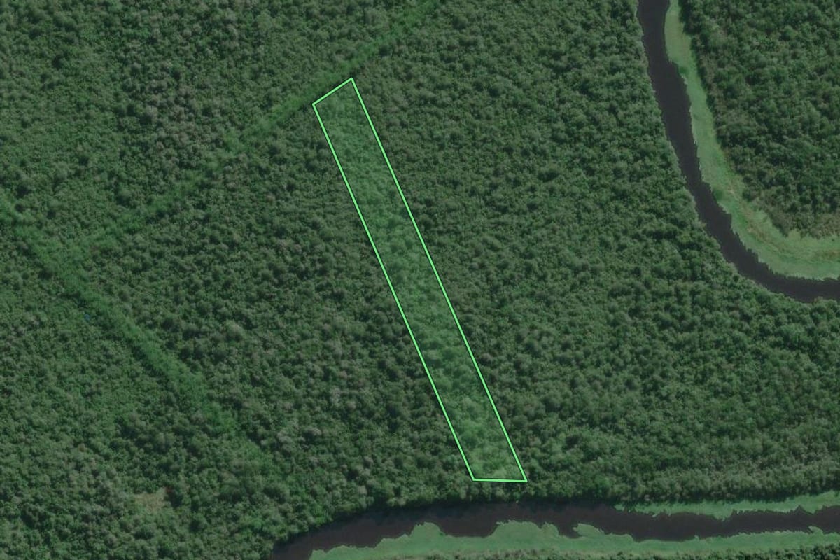 Imagem de satélite do imóvel rural em Iguape (SP), com o contorno declarado no CAR desenhado por cima.