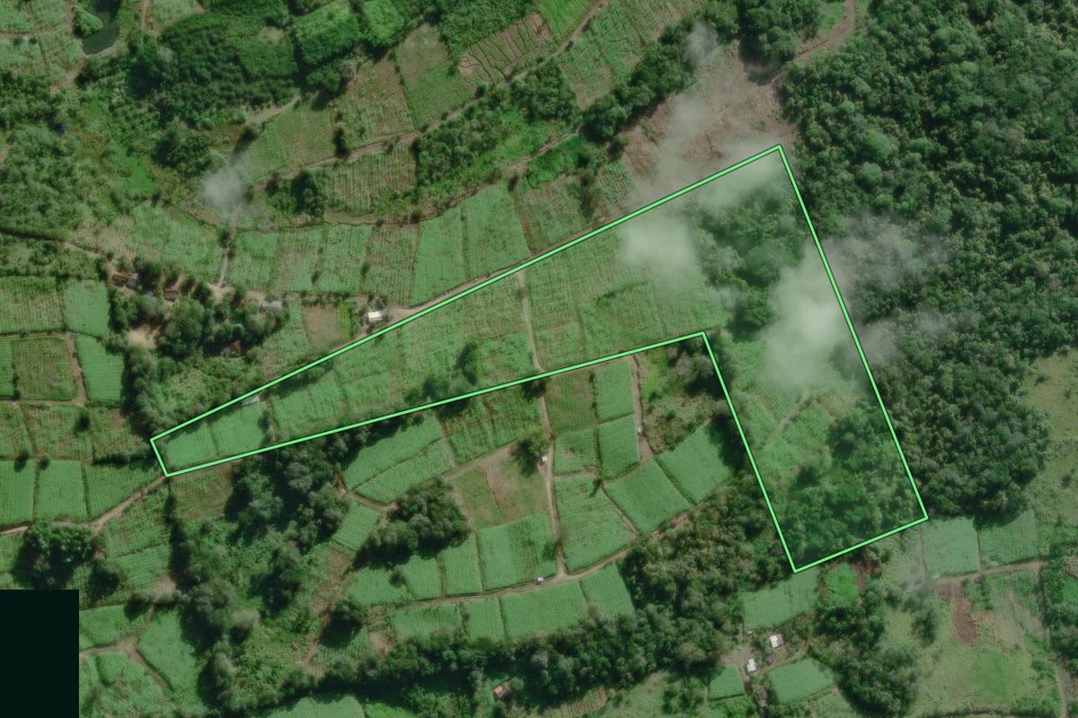 Imagem de satélite do imóvel rural em Iguape (SP), com o contorno declarado no CAR desenhado por cima.