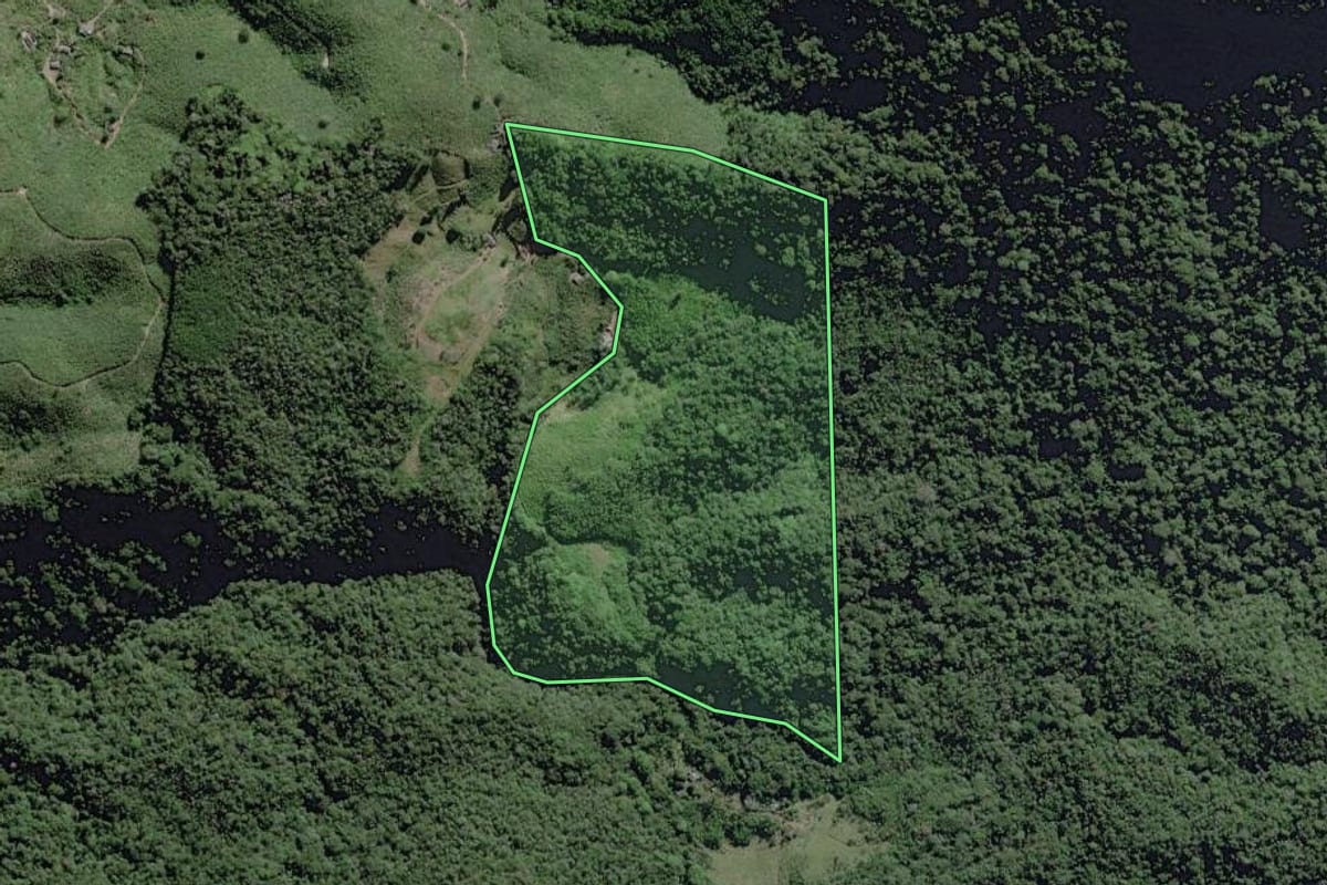 Imagem de satélite do imóvel rural em Iguape (SP), com o contorno declarado no CAR desenhado por cima.