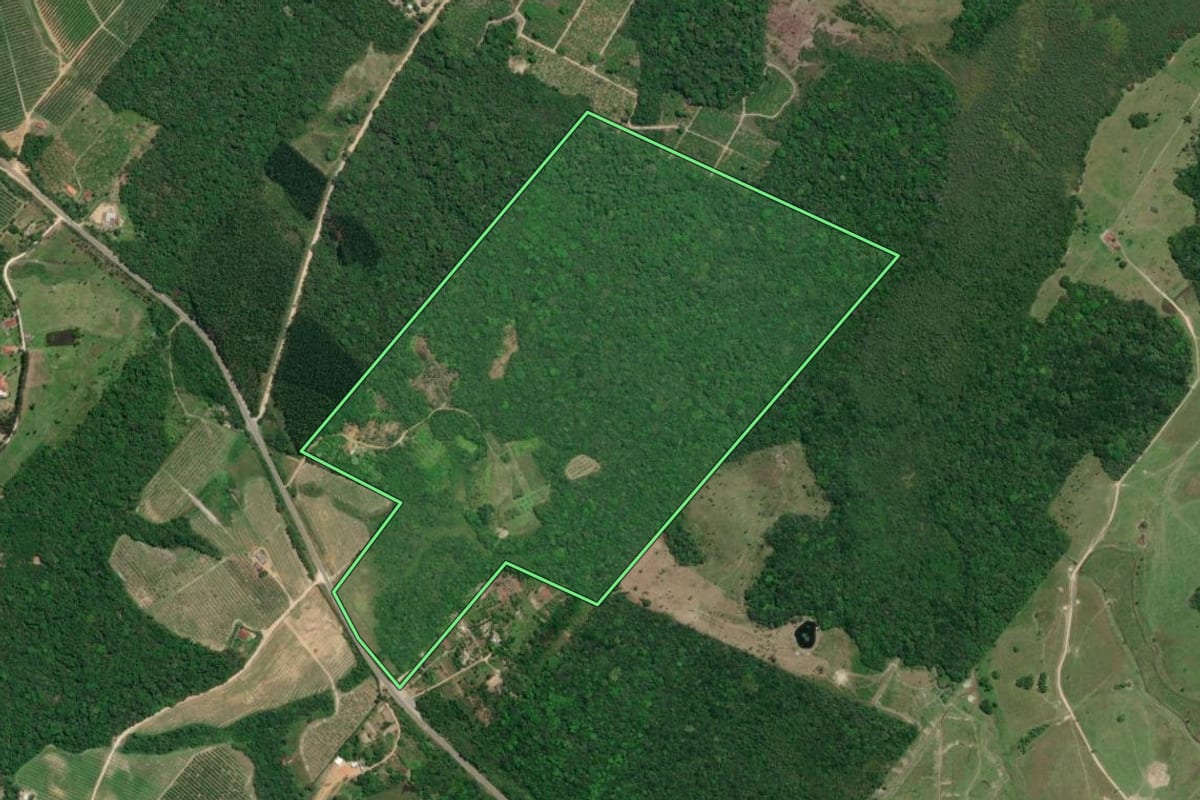 Imagem de satélite do imóvel rural em Iguape (SP), com o contorno declarado no CAR desenhado por cima.
