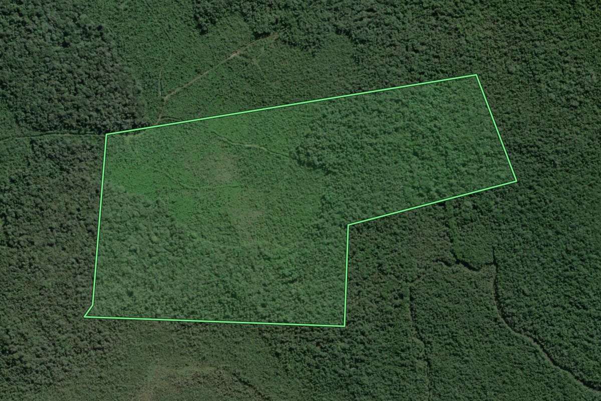 Imagem de satélite do imóvel rural em Iguape (SP), com o contorno declarado no CAR desenhado por cima.