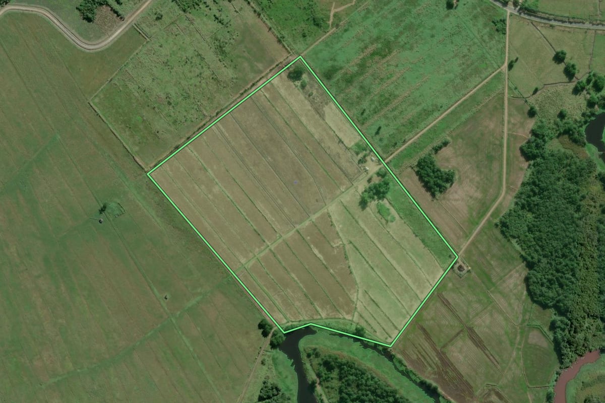 Imagem de satélite do imóvel rural em Iguape (SP), com o contorno declarado no CAR desenhado por cima.