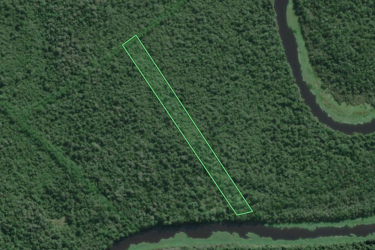Imagem de satélite do imóvel rural em Iguape (SP), com o contorno declarado no CAR desenhado por cima.