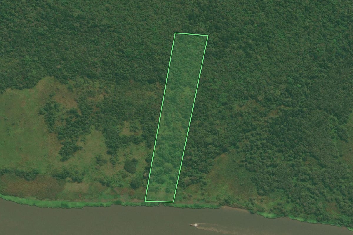 Imagem de satélite do imóvel rural em Iguape (SP), com o contorno declarado no CAR desenhado por cima.