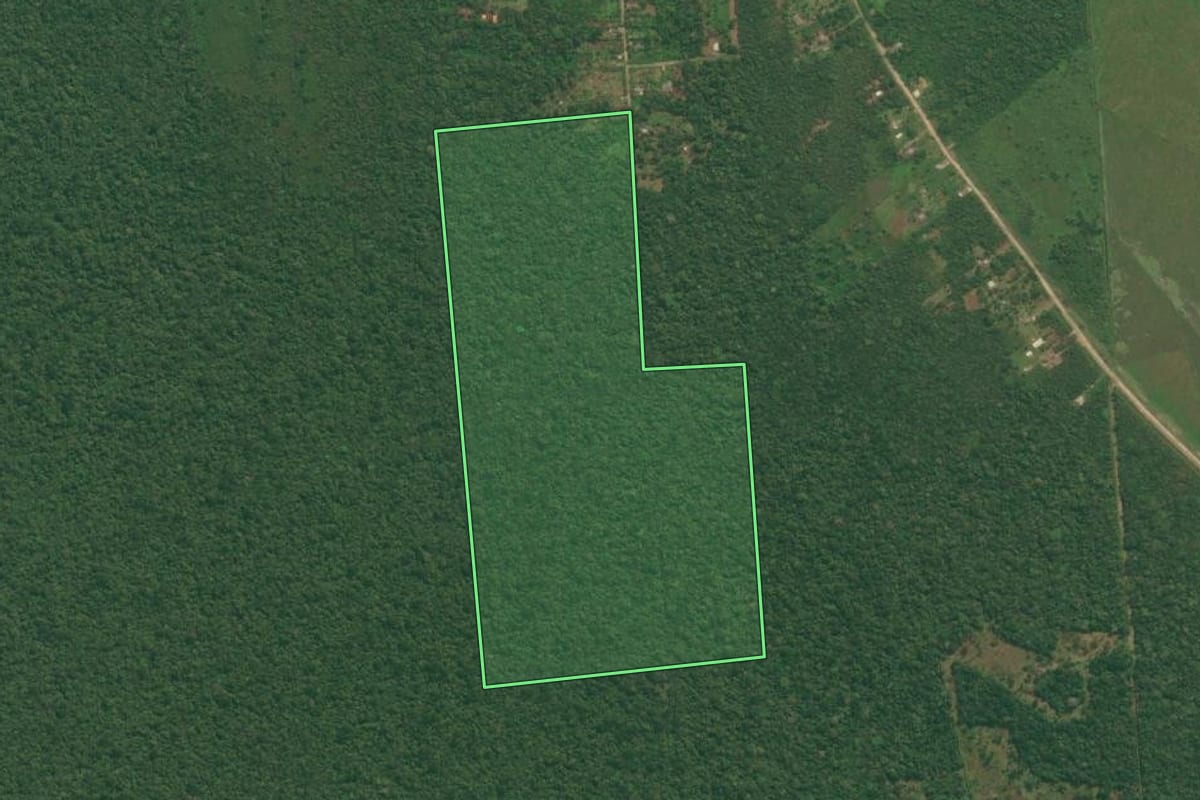 Imagem de satélite do imóvel rural em Iguape (SP), com o contorno declarado no CAR desenhado por cima.