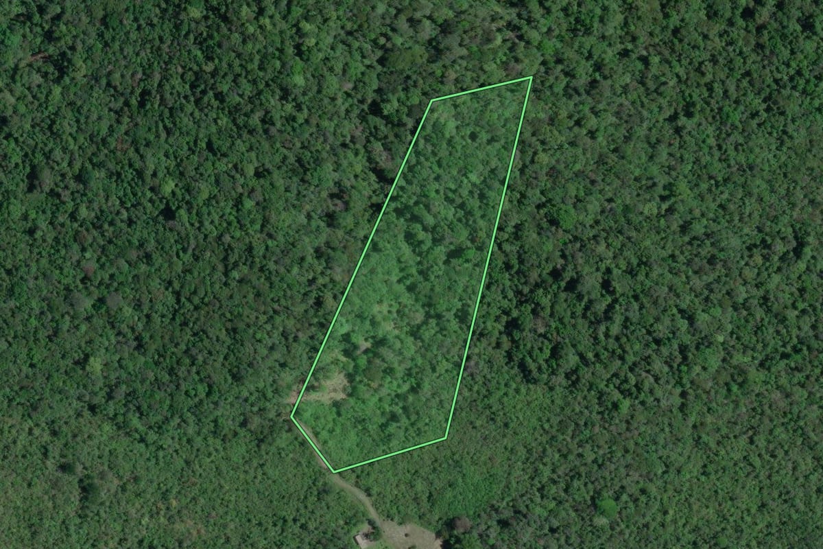 Imagem de satélite do imóvel rural em Iguape (SP), com o contorno declarado no CAR desenhado por cima.