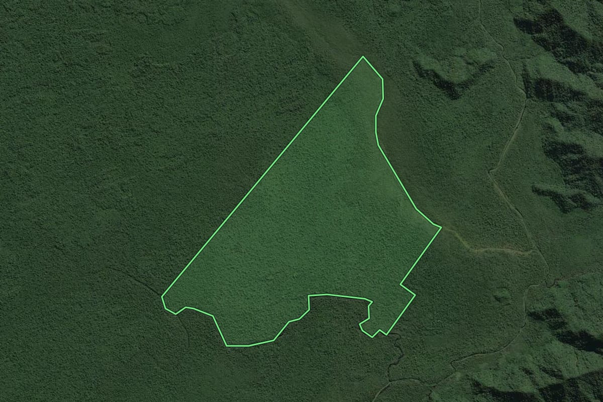Imagem de satélite do imóvel rural em Iguape (SP), com o contorno declarado no CAR desenhado por cima.
