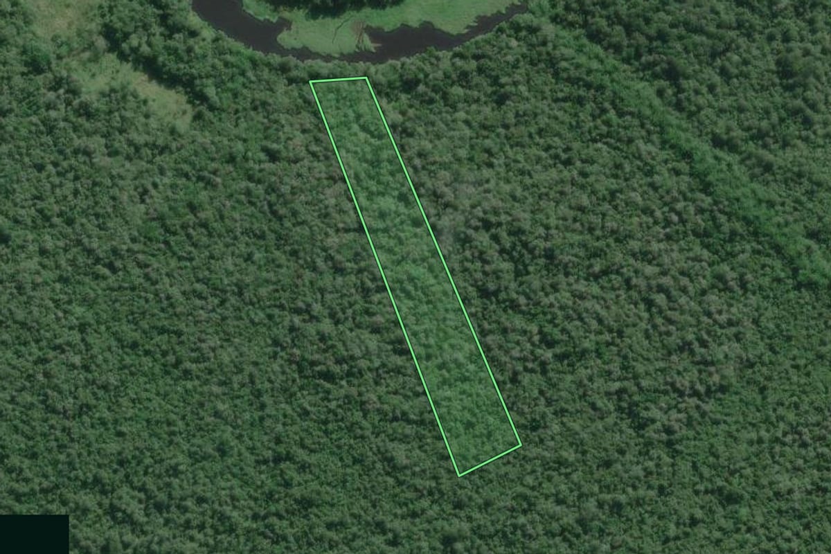 Imagem de satélite do imóvel rural em Iguape (SP), com o contorno declarado no CAR desenhado por cima.