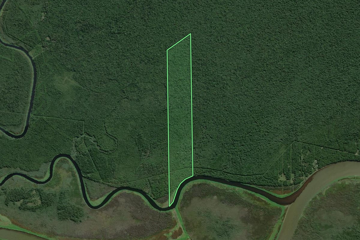 Imagem de satélite do imóvel rural em Iguape (SP), com o contorno declarado no CAR desenhado por cima.
