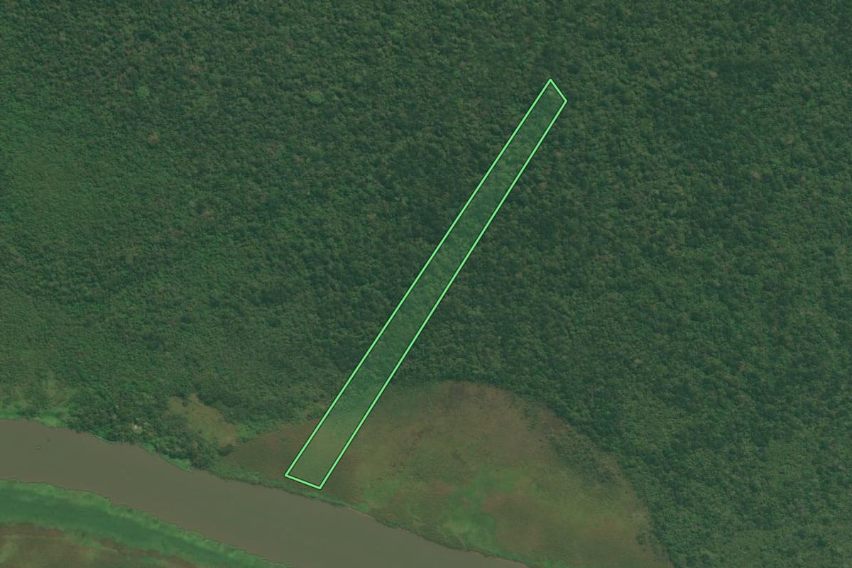 Imagem de satélite do imóvel rural em Iguape (SP), com o contorno declarado no CAR desenhado por cima.