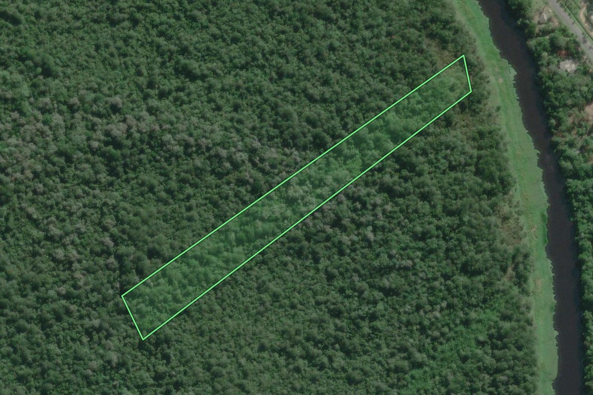 Imagem de satélite do imóvel rural em Iguape (SP), com o contorno declarado no CAR desenhado por cima.