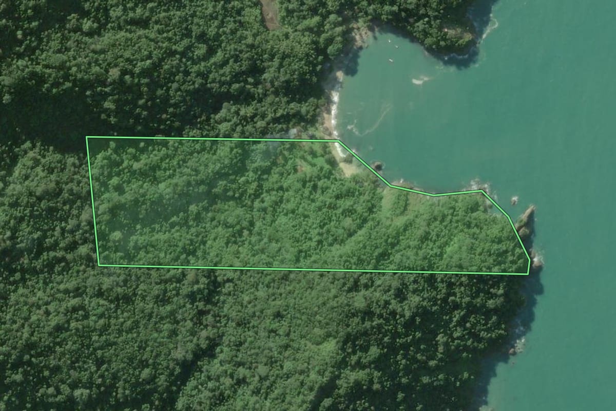 Imagem de satélite do imóvel rural em Ilhabela (SP), com o contorno declarado no CAR desenhado por cima.